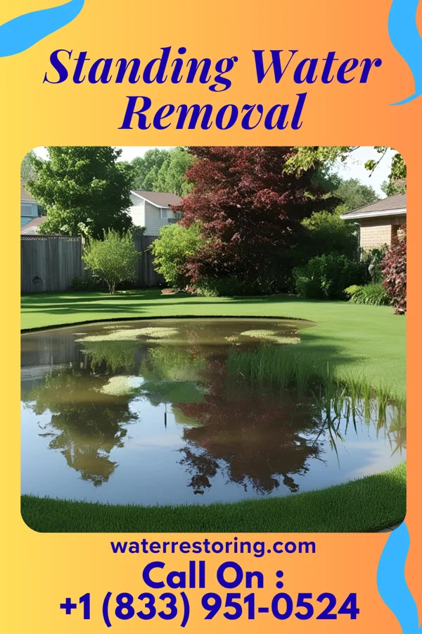 Standing Water Removal in Dazey, ND